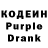 Кодеиновый сироп Lean Purple Drank SKY FLY