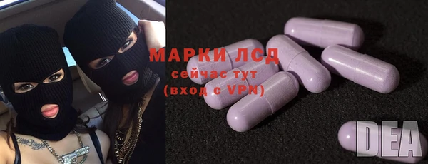 прущие грибы Абинск